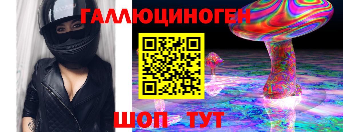 Псилоцибиновые грибы Psilocybine cubensis  Вход с VPN  Холмск 